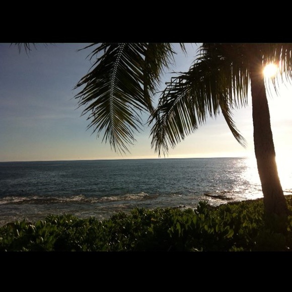 Meet your Posher, AlohaAllie. - Picture 4 of 6